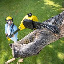 Best Lawn Mowing  in Somers Point, NJ